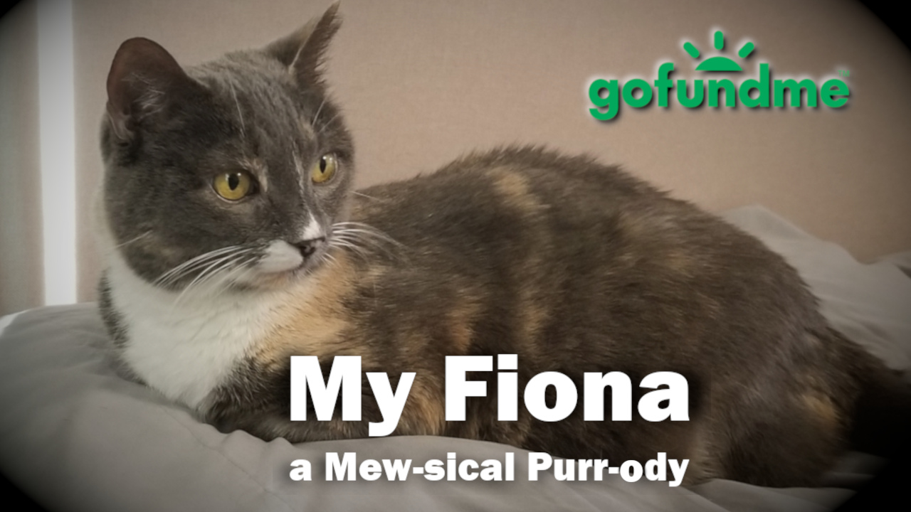 My Fiona: A Mew-sical Purr-ody
